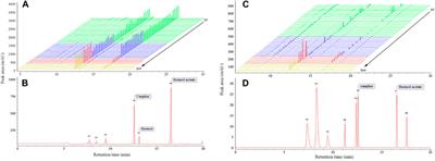 Development of a variety and quality evaluation method for Amomi fructus using GC, electronic tongue, and electronic nose